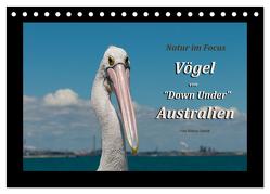 Vögel von „Down Under“ Australien (Tischkalender 2024 DIN A5 quer), CALVENDO Monatskalender von Smith,  Sidney