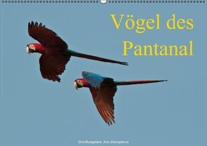 Vögel des Pantanal (PosterbuchDIN A2 quer) von Woehlke,  Juergen