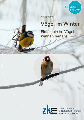 Vögel im Winter: Lern-DVD von Gnehm,  Res