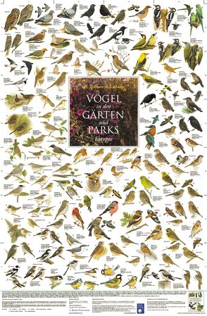 Vögel in den Gärten und Parks Europas von Welter-Schultes,  F W