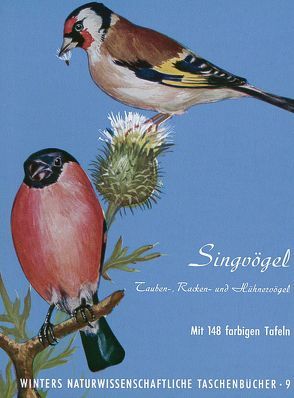 Vögel Mitteleuropas / Singvögel von Fehringer,  O