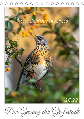 Vogel Sinfonie in Köln (Tischkalender 2022 DIN A5 hoch) von Rosenthal,  Antje
