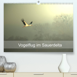 Vogelflug im Sauerdelta (Premium, hochwertiger DIN A2 Wandkalender 2022, Kunstdruck in Hochglanz) von Pohl,  Bruno