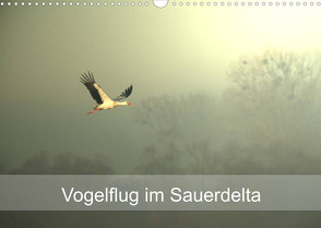 Vogelflug im Sauerdelta (Wandkalender 2023 DIN A3 quer) von Pohl,  Bruno