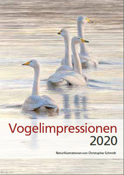 Vogelimpressionen 2020 von Schmidt,  Christopher