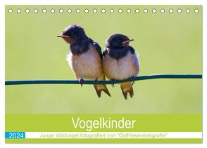 Vogelkinder – Junge Wildvögel (Tischkalender 2024 DIN A5 quer), CALVENDO Monatskalender von Betten - Ostfriesenfotografie,  Christina