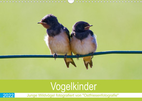 Vogelkinder – Junge Wildvögel (Wandkalender 2022 DIN A3 quer) von Betten - Ostfriesenfotografie,  Christina