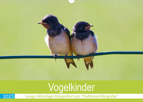 Vogelkinder – Junge Wildvögel (Wandkalender 2023 DIN A3 quer) von Betten - Ostfriesenfotografie,  Christina