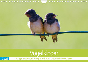 Vogelkinder – Junge Wildvögel (Wandkalender 2023 DIN A4 quer) von Betten - Ostfriesenfotografie,  Christina