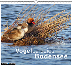 Vogelparadies Bodensee 2023 von Caspers,  Wolfgang