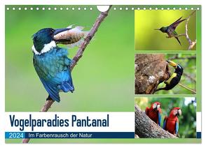 Vogelparadies Pantanal (Wandkalender 2024 DIN A4 quer), CALVENDO Monatskalender von und Michael Herzog,  Yvonne