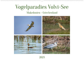 Vogelparadies Volvi-See (Wandkalender 2023 DIN A2 quer) von Di Chito,  Ursula