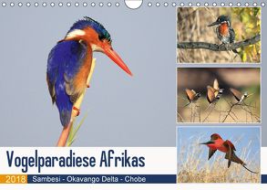 Vogelparadiese Afrikas – Sambesi, Okavango Delta, Chobe (Wandkalender 2018 DIN A4 quer) von Herzog,  Michael