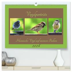 Vogelporträts – Heimische Vögel auf meinem Balkon (hochwertiger Premium Wandkalender 2024 DIN A2 quer), Kunstdruck in Hochglanz von Schimmack,  Claudia