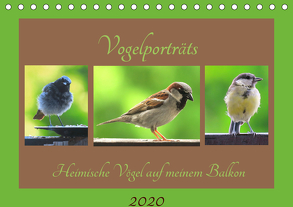 Vogelporträts – Heimische Vögel auf meinem Balkon (Tischkalender 2020 DIN A5 quer) von Schimmack,  Claudia