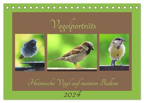 Vogelporträts – Heimische Vögel auf meinem Balkon (Tischkalender 2024 DIN A5 quer), CALVENDO Monatskalender von Schimmack,  Claudia
