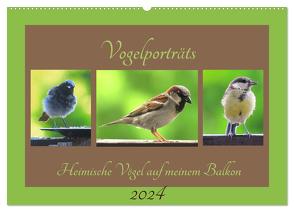Vogelporträts – Heimische Vögel auf meinem Balkon (Wandkalender 2024 DIN A2 quer), CALVENDO Monatskalender von Schimmack,  Claudia
