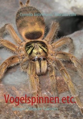 Vogelspinnen etc. von Aistermann,  Cornelia, Lühr,  Thorsten