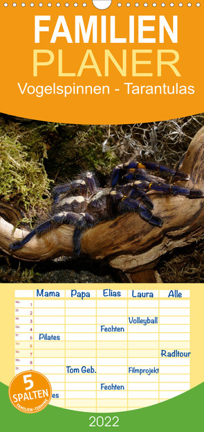 Familienplaner Vogelspinnen – Tarantulas (Wandkalender 2022 , 21 cm x 45 cm, hoch) von Trapp,  Benny