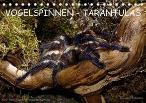 Vogelspinnen – Tarantulas (Tischkalender 2022 DIN A5 quer) von Trapp,  Benny