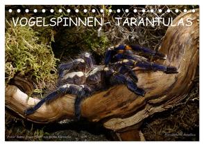 Vogelspinnen – Tarantulas (Tischkalender 2024 DIN A5 quer), CALVENDO Monatskalender von Trapp,  Benny