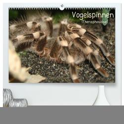 Vogelspinnen (Theraphosidae) (hochwertiger Premium Wandkalender 2024 DIN A2 quer), Kunstdruck in Hochglanz von Mielewczyk,  Barbara