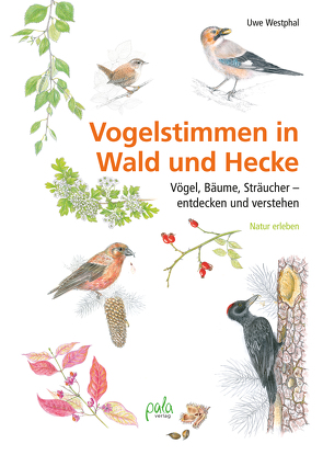 Vogelstimmen in Wald und Hecke von Westphal,  Uwe