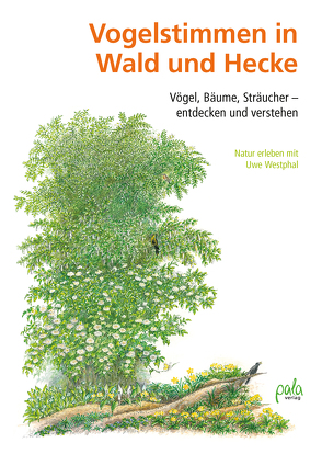 Vogelstimmen in Wald und Hecke von Janicek,  Heidi, Westphal,  Uwe