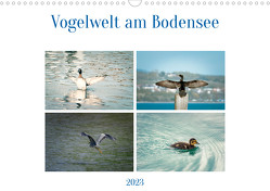 Vogelwelt am Bodensee 2023 (Wandkalender 2023 DIN A3 quer) von kaufmann Fotos,  Ralf