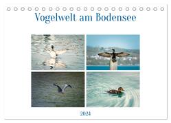 Vogelwelt am Bodensee 2024 (Tischkalender 2024 DIN A5 quer), CALVENDO Monatskalender von kaufmann Fotos,  Ralf