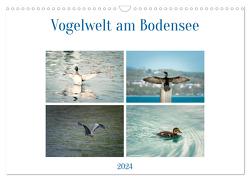 Vogelwelt am Bodensee 2024 (Wandkalender 2024 DIN A3 quer), CALVENDO Monatskalender von kaufmann Fotos,  Ralf