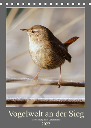 Vogelwelt an der Sieg (Tischkalender 2022 DIN A5 hoch) von Irle,  D.