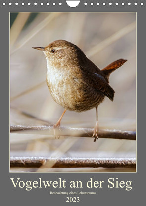 Vogelwelt an der Sieg (Wandkalender 2023 DIN A4 hoch) von Irle,  D.