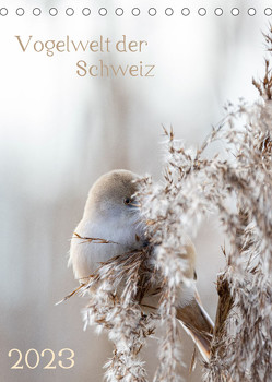 Vogelwelt der Schweiz (Tischkalender 2023 DIN A5 hoch) von Schüpbach,  Andrea
