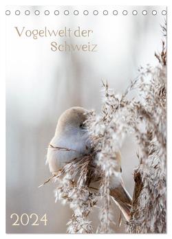 Vogelwelt der Schweiz (Tischkalender 2024 DIN A5 hoch), CALVENDO Monatskalender von Schüpbach,  Andrea
