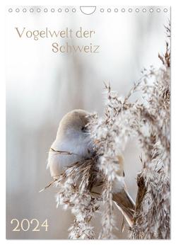 Vogelwelt der Schweiz (Wandkalender 2024 DIN A4 hoch), CALVENDO Monatskalender von Schüpbach,  Andrea