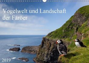 Vogelwelt und Landschaft der Färöer (Wandkalender 2019 DIN A3 quer) von Utelli,  Anna-Barbara