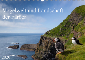 Vogelwelt und Landschaft der Färöer (Wandkalender 2020 DIN A2 quer) von Utelli,  Anna-Barbara