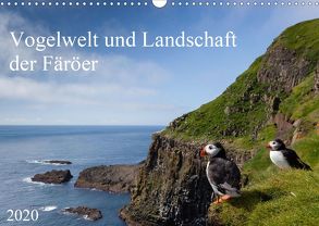 Vogelwelt und Landschaft der Färöer (Wandkalender 2020 DIN A3 quer) von Utelli,  Anna-Barbara