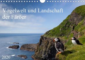 Vogelwelt und Landschaft der Färöer (Wandkalender 2020 DIN A4 quer) von Utelli,  Anna-Barbara