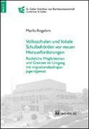 Volkschulen und lokale Schulbehörden vor neuen Herausforderungen. Rechtliche Möglichkeiten und Grenzen im Umgang mit migrationsbedingter Jugendgewalt von Angehrn,  Marlis