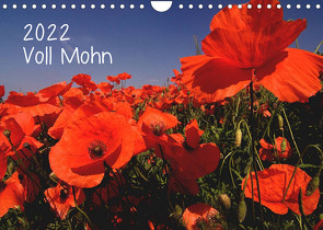 Voll Mohn (Wandkalender 2022 DIN A4 quer) von Möller,  Michael