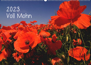 Voll Mohn (Wandkalender 2023 DIN A2 quer) von Möller,  Michael