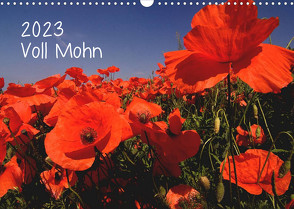 Voll Mohn (Wandkalender 2023 DIN A3 quer) von Möller,  Michael