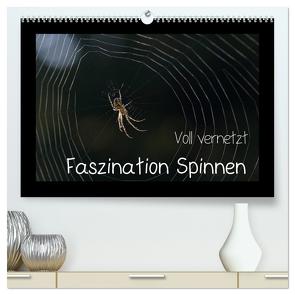 Voll vernetzt – Faszination Spinnen (hochwertiger Premium Wandkalender 2024 DIN A2 quer), Kunstdruck in Hochglanz von Enkemeier,  Sigrid