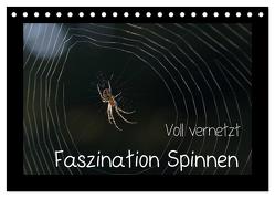 Voll vernetzt – Faszination Spinnen (Tischkalender 2024 DIN A5 quer), CALVENDO Monatskalender von Enkemeier,  Sigrid