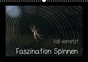 Voll vernetzt – Faszination Spinnen (Wandkalender 2018 DIN A3 quer) von Enkemeier,  Sigrid