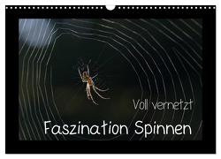 Voll vernetzt – Faszination Spinnen (Wandkalender 2024 DIN A3 quer), CALVENDO Monatskalender von Enkemeier,  Sigrid