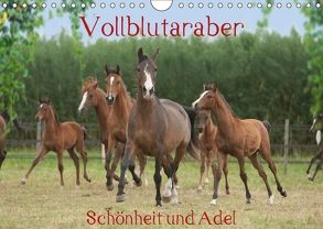 Vollblutaraber – Schönheit und Adel (Wandkalender 2018 DIN A4 quer) von Münzel-Hashish - www.tierphotografie.com,  Angela