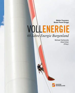 Vollenergie von Feymann,  Walter, Pauer-Zinggl,  Beate